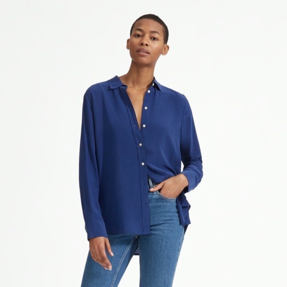 Everlane Blue Silk Shirt